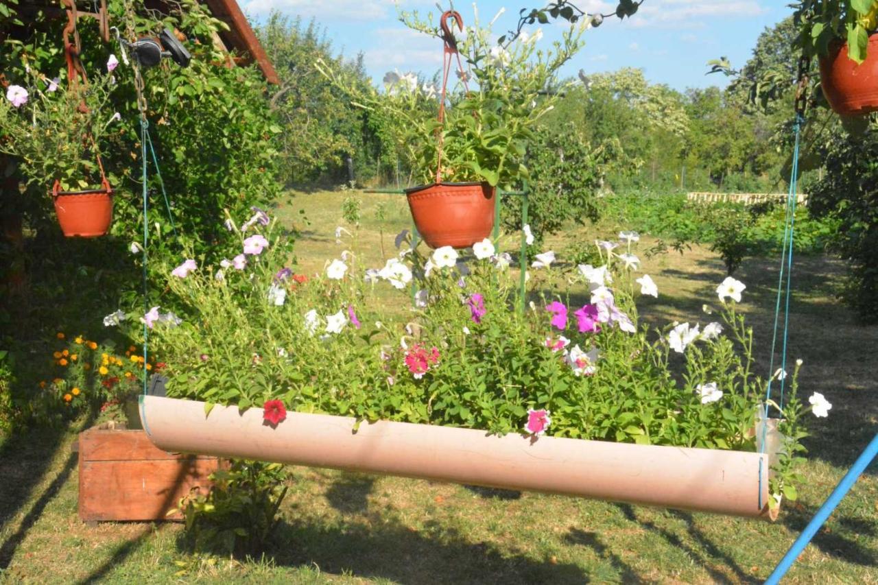 Gazdinstvo Tadic Guest House Niksic Exterior photo